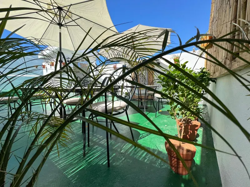 Un palmier en pot sur la terrasse